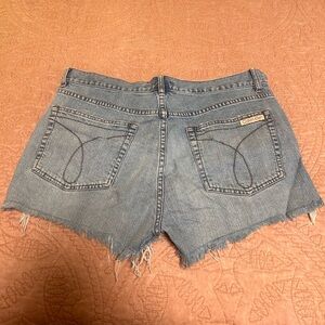 Calvin Klein Jeans Women's Blue Jean Shorts